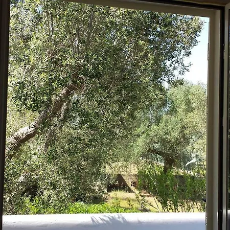 بيت للعطل Tenuta Schiauddi *