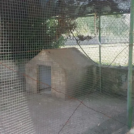 Tenuta Schiauddi * Bagnolo del Salento