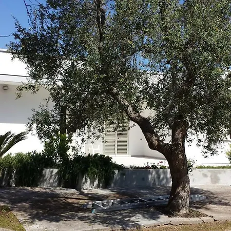 Tenuta Schiauddi