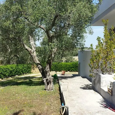 Tenuta Schiauddi
