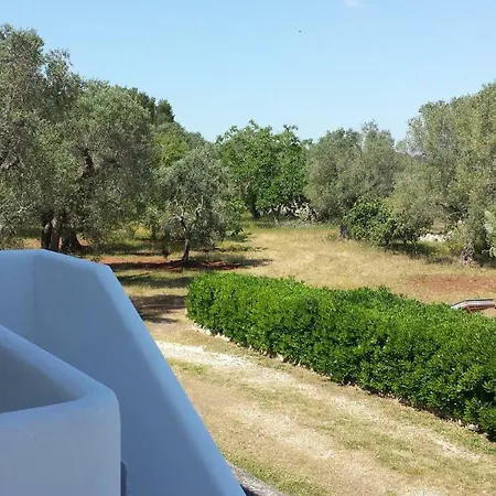 Tenuta Schiauddi *