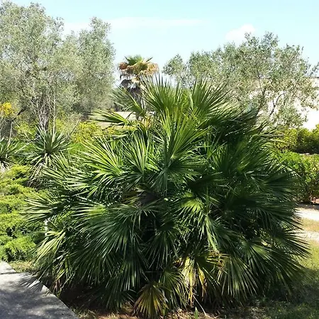 Tenuta Schiauddi بيت للعطل