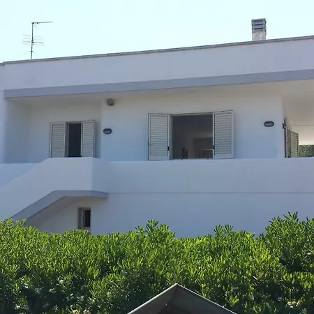 Tenuta Schiauddi *