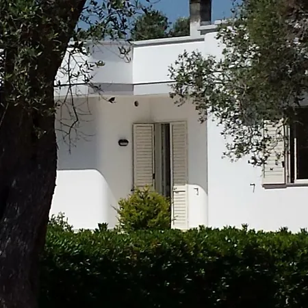 Tenuta Schiauddi *