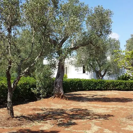 Tenuta Schiauddi *