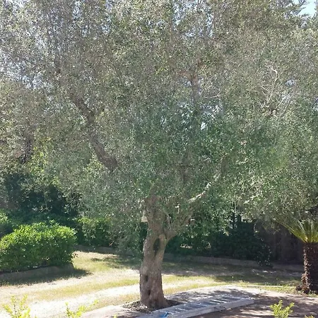 Tenuta Schiauddi بيت للعطل