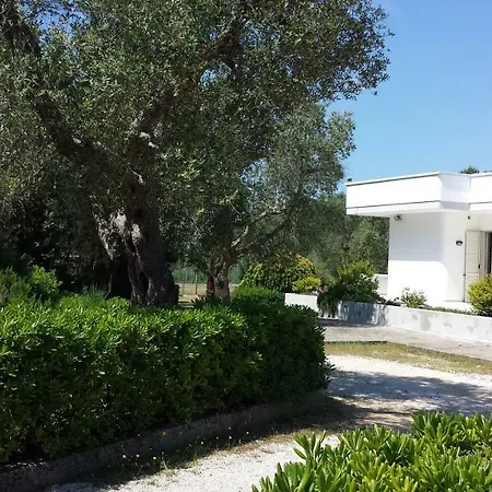 Tenuta Schiauddi بيت للعطل