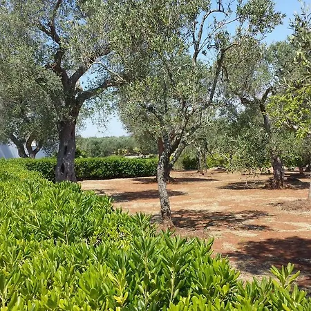 Tenuta Schiauddi