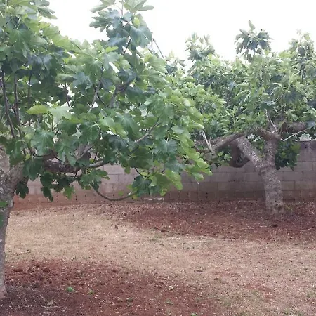 Tenuta Schiauddi بيت للعطل Bagnolo del Salento
