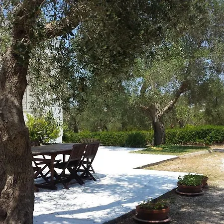 Tenuta Schiauddi *